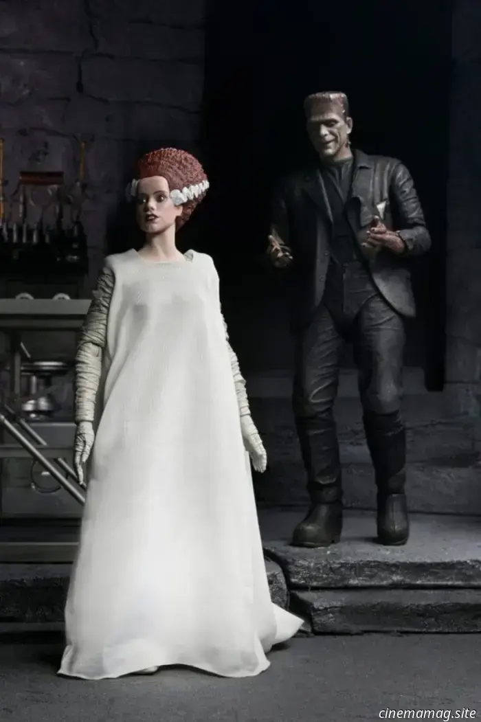NECA's The Monster and His Mate 2-pack commemorates the 90th anniversary of The Bride of Frankenstein.