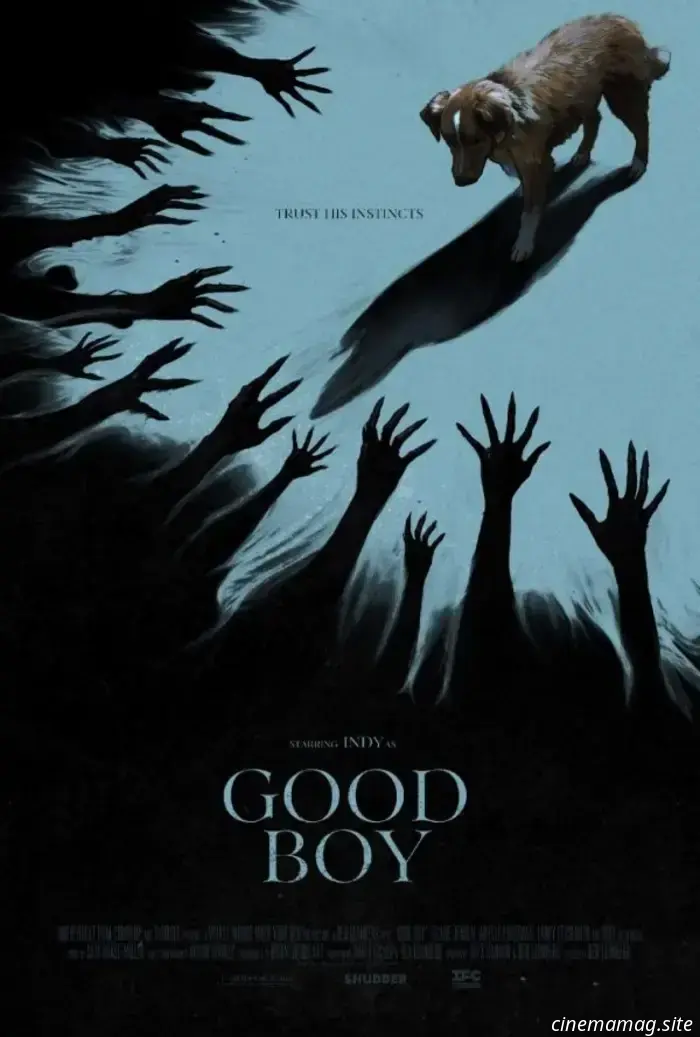 El tráiler de Good Boy sugiere terror desde la perspectiva de un perro.