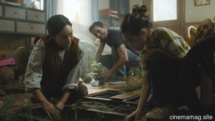 Film Critique – The Last House (2026)