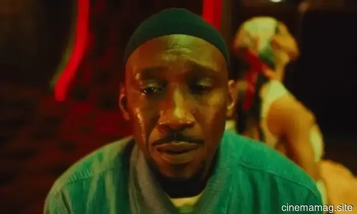 Primer tráiler teaser de Tu Madre Tu Madre Tu Madre protagonizado por Mahershala Ali