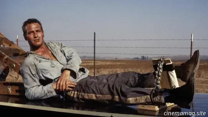 12 Iconic Rock Songs Influenced by Classic Films