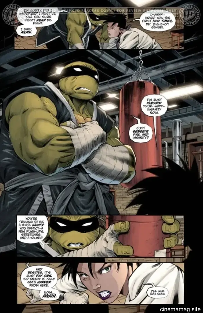 Vista previa del cómic – Tortugas Ninja: El Último Ronin – Día de Entrenamiento #1