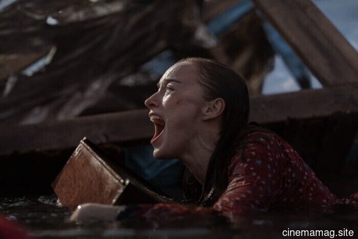 Обзор фильма – Thrash (2026)