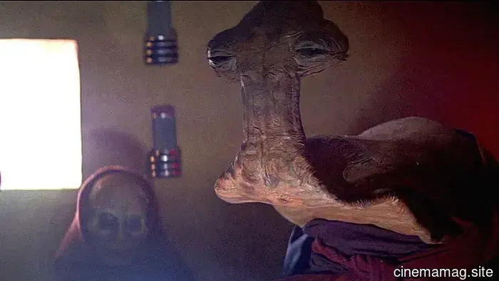 12 Lesser-known Star Wars Characters Ranked from Least to Most Significant