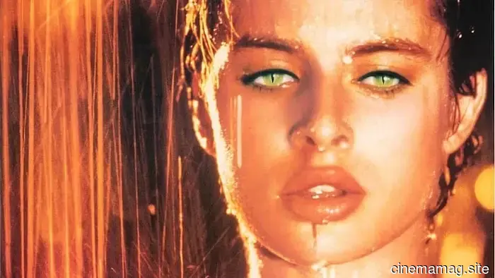 I 12 film più seducenti che abbiamo mai visto