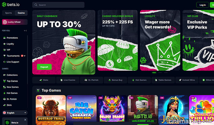 Top Crypto Casinos of 2026: A Review of the 5 Best Bitcoin Casinos (Quick Deposits & Immediate Withdrawals)