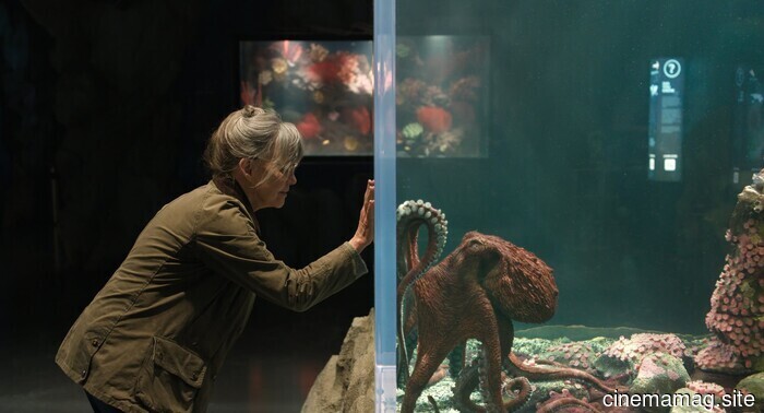 Film Review – Exceptionally Luminous Beings (2026)