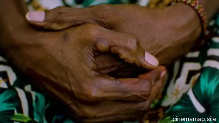 Prismatic Ground 2026 Creates a Vibrant and Accessible Journey for Film Festivals