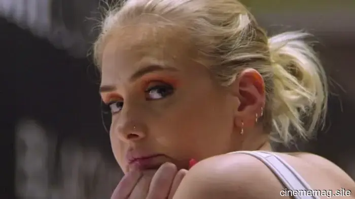 12 film sull'industria dell'intrattenimento per adulti che non addolciscono nulla