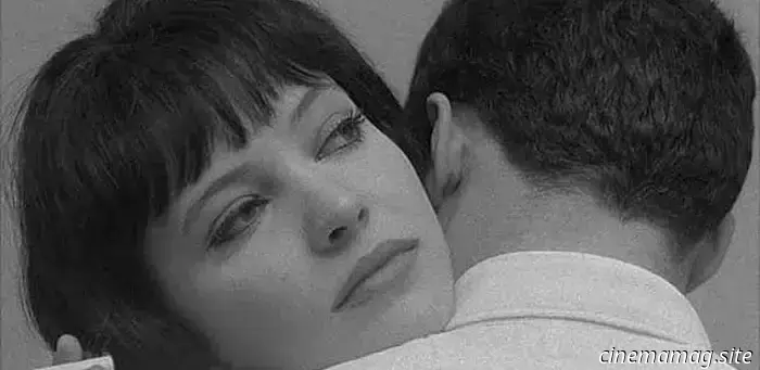 13 Films About the World's Oldest Profession That Present a More Sugary Perspective