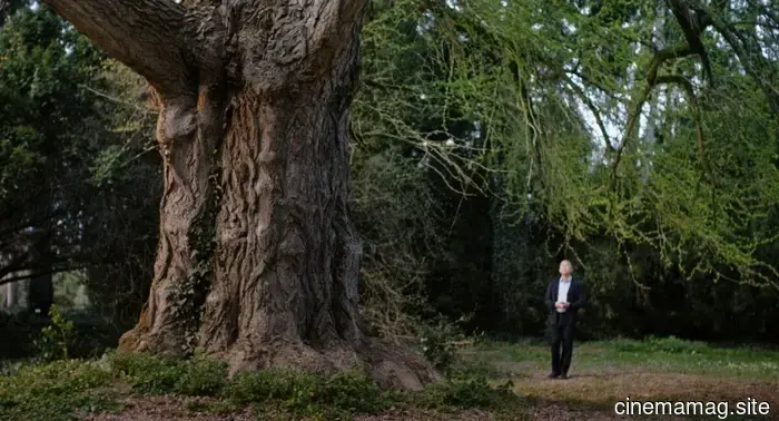 Silent Friend Director Ildikó Enyedi on Portraying a Tree’s Viewpoint and the Condition of the Soul