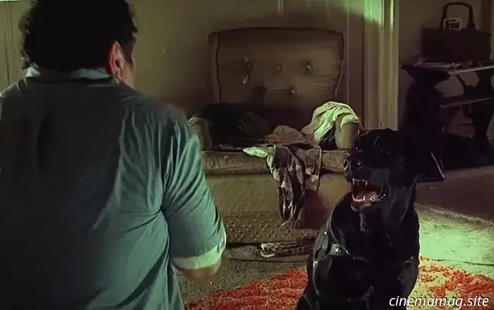 Las 12 mejores películas de perros parlantes que hemos visto