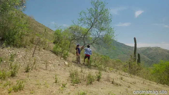 Review of Our Land (Nuestra Tierra): Lucrecia Martel’s Vital Record of Indigenous Resistance