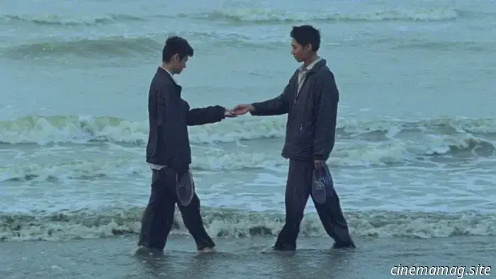 La migliore fotografia del 2025