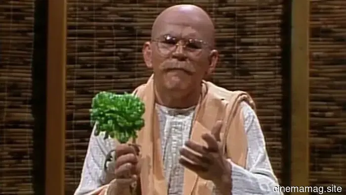 13 Classic SNL Characters That Wouldn't Be Created Today