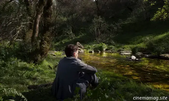 Эксклюзивный трейлер признанного дебюта Марты Матеус «Огонь ветра», продюсер — Педру Кошта.