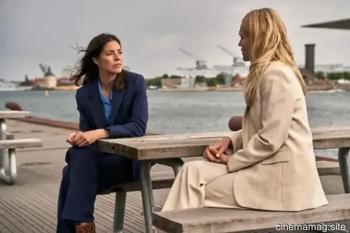 Trailer for the Nordic noir thriller series The Secret Woman on Netflix.