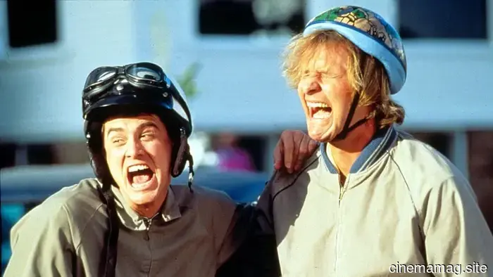 The 12 Most Absurd Movies We've Ever Watched