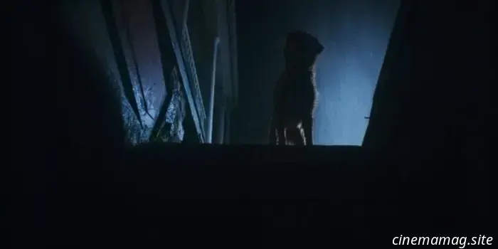 El tráiler de Good Boy sugiere terror desde la perspectiva de un perro.