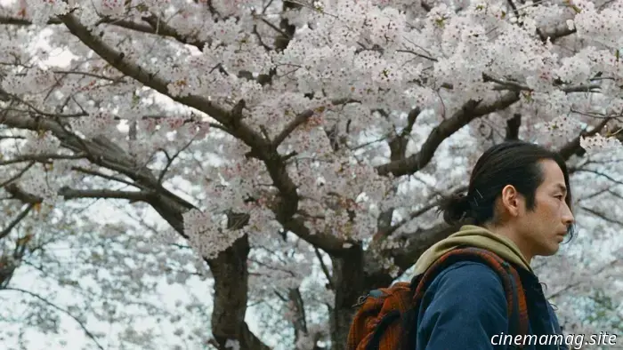Now Available for Streaming: Materialists, Dangerous Animals, Little Buddha, Northern Lights, and More