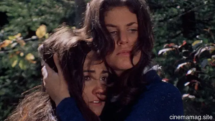 I 12 film più spaventosi, classificati dal meno spaventoso al più spaventoso