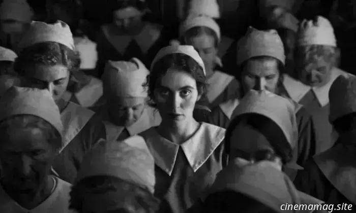 8 grandes películas recientes que realmente necesitas ver