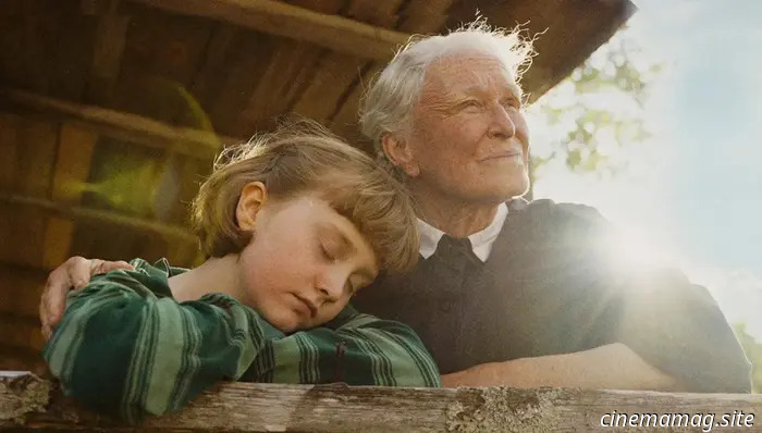 The Summer Book (2025) - Film Review