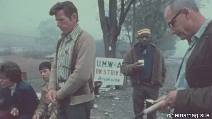 The 12 Most Transformative Films of 1976, a Year of Uprising