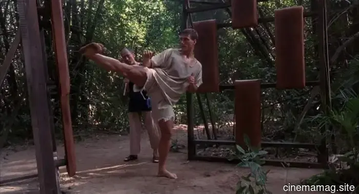 12 Must-Watch Martial Arts Films to Savor This March