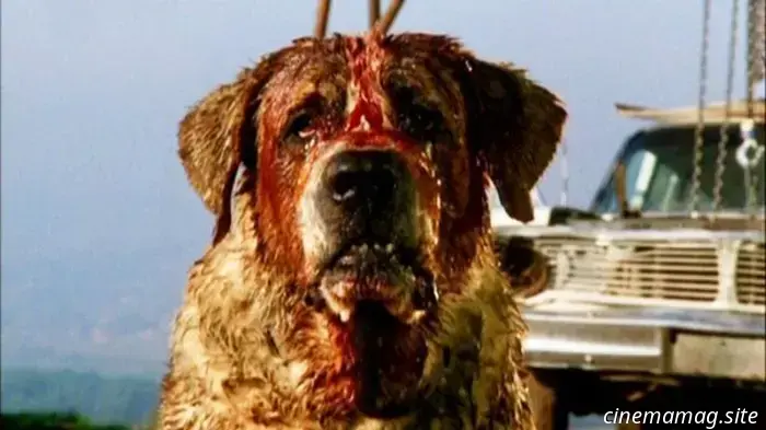 Netflix is set to adapt Stephen King's horror story about a rabid dog, Cujo.