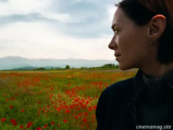 50 лучших фильмов 2025 года по версии The Film Stage