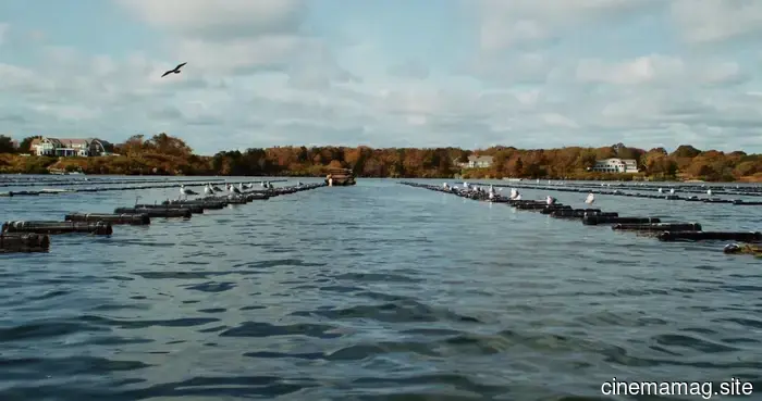 Catchfly Pictures Introduces American Thread, a Documentary Series Focusing on Local Businesses That Support Communities.