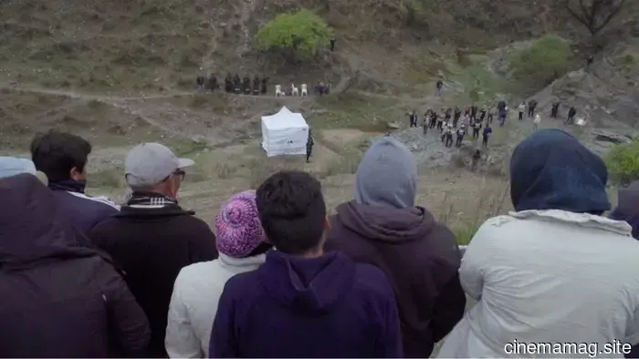 40 фильмов, которые стоит посмотреть этим летом