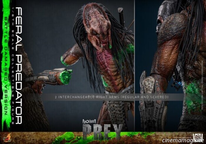 Hot Toys ha svelato l'action figure in scala 1/6 del Feral Predator di Prey (versione con danni da battaglia).