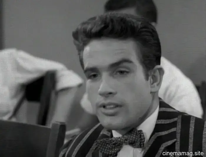 5 Stars from the 1950s Who Are Still Thriving