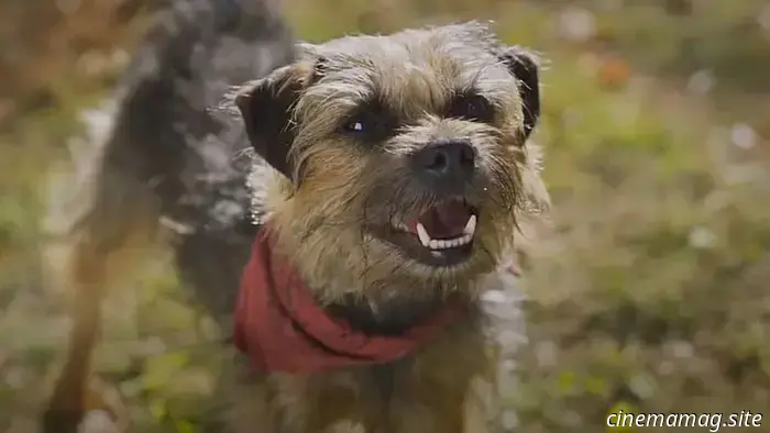 Las 12 mejores películas de perros parlantes que hemos visto