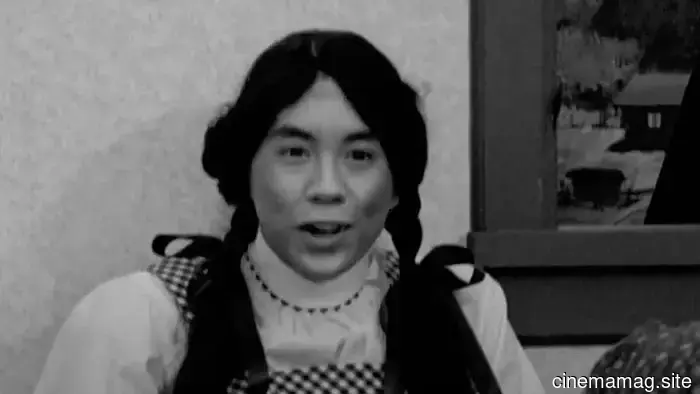 12 Behind-the-Scenes Tales from Kentucky Fried Movie, the Comedy That Gave Rise to Airplane! and Animal House