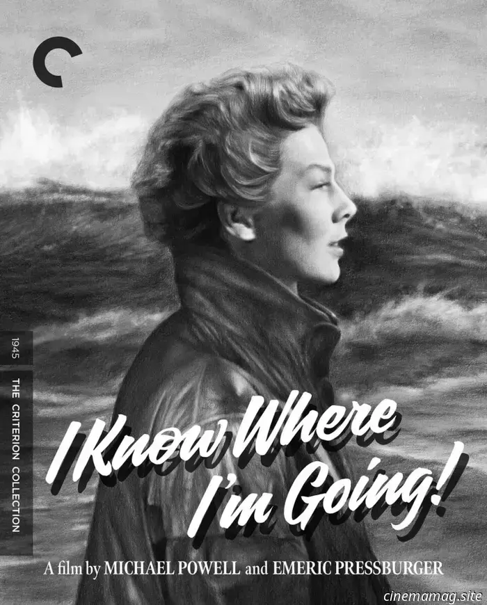 La programmazione di dicembre della Criterion Collection include His Girl Friday e Pee‑Wee’s Big Adventure in 4K.