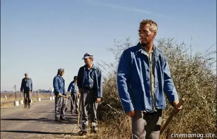 Las 12 películas de prisión más cautivadoras que hemos visto