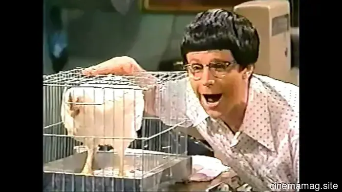 13 Classic SNL Characters That Wouldn't Be Created Today