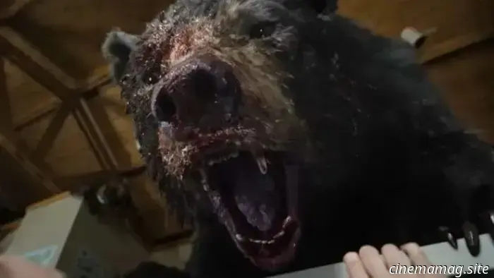 Mia Goth, Dan Stevens e Zach Galifianakis saranno i protagonisti della commedia 'coming-of-rage' Hey Bear