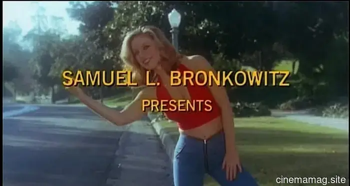 12 Disreputable '70s Films That Have No Regard for Your Respect