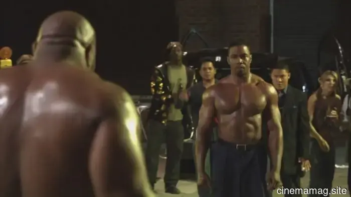 12 Must-Watch Martial Arts Films to Savor This March