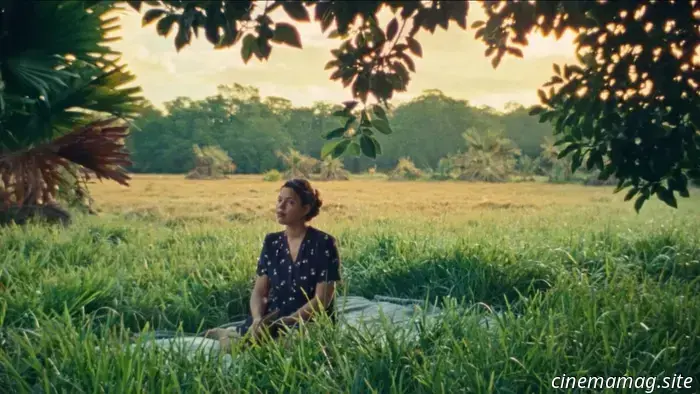 La migliore fotografia del 2025