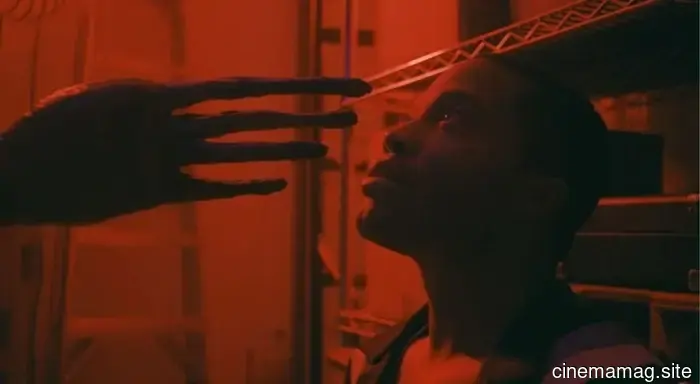 Tráiler de Terrestrial de Steve Pink protagonizada por Jermaine Fowler