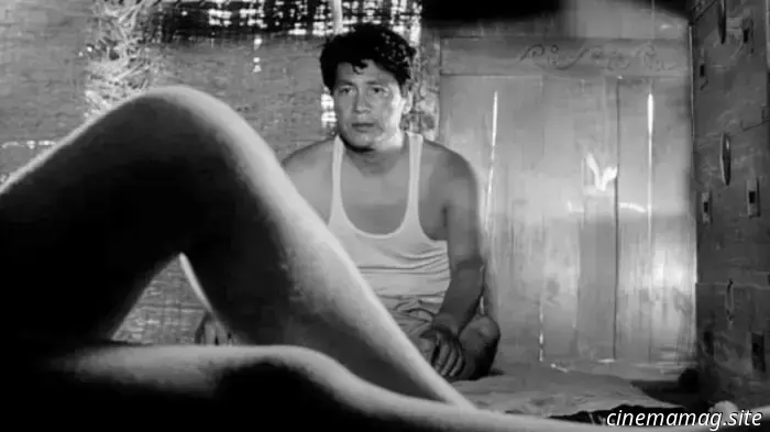 Siente el calor: 10 películas incómodamente calientes y sudorosas