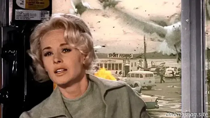 13 смертоносных фильмов о животных, в которых использовали настоящих живых животных