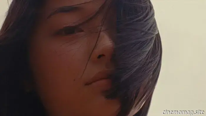 I 100 film più attesi del 2026: Prima parte