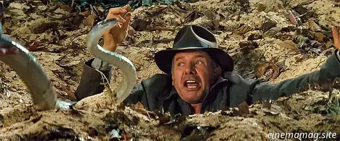 12 вещей, за которые каждый должен быть благодарен