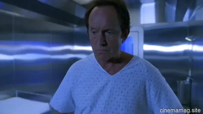 The TV Shows That Took Risks with Complexity Before It Was Accepted